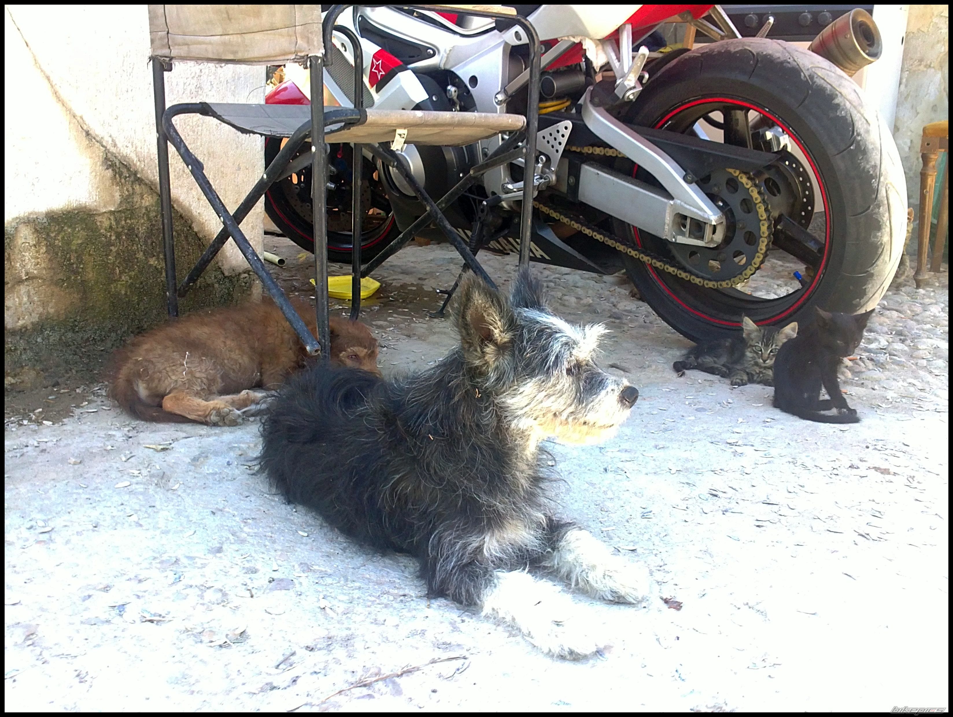 Bike Photo 2229997