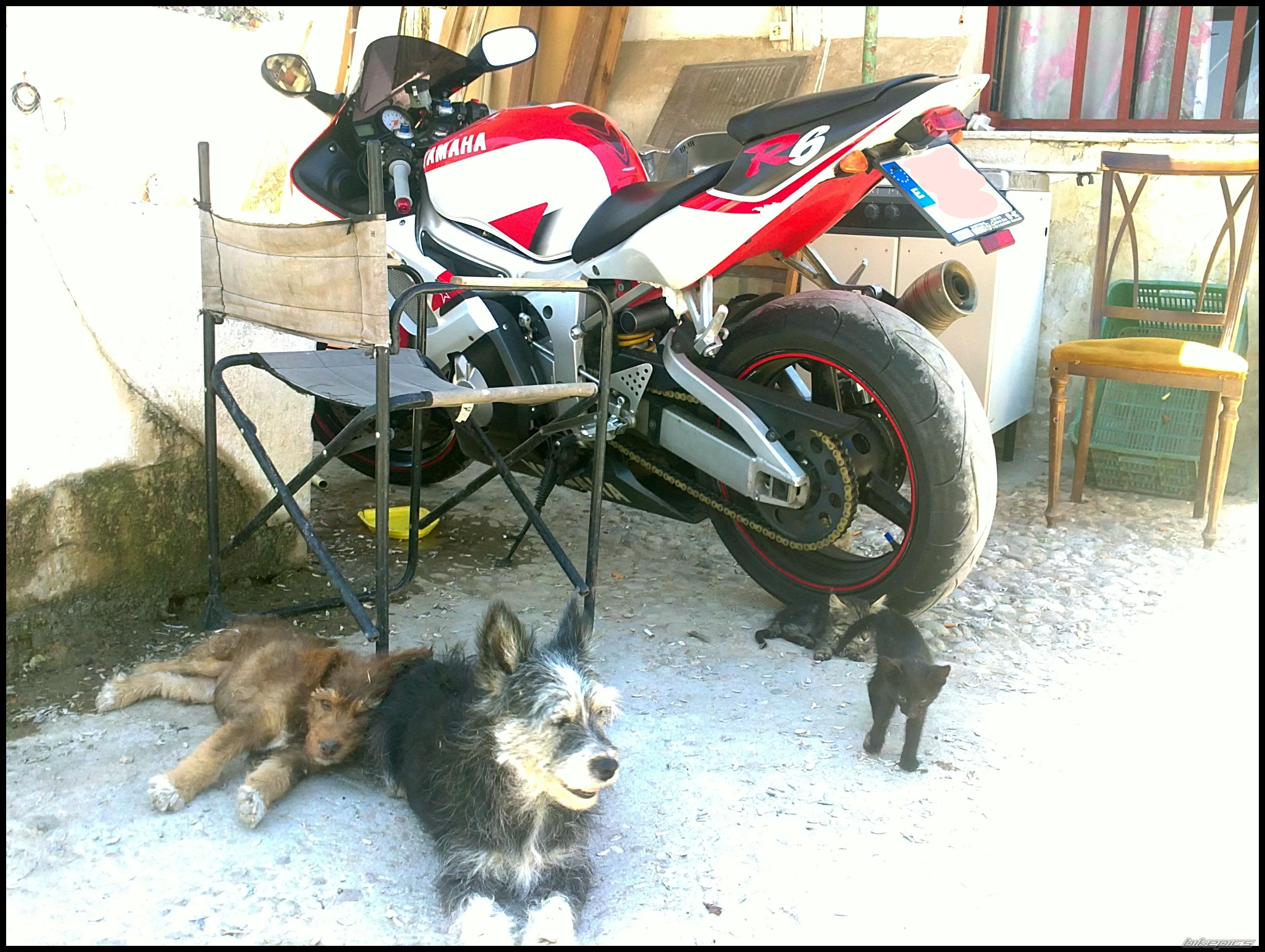 Photo 2230001