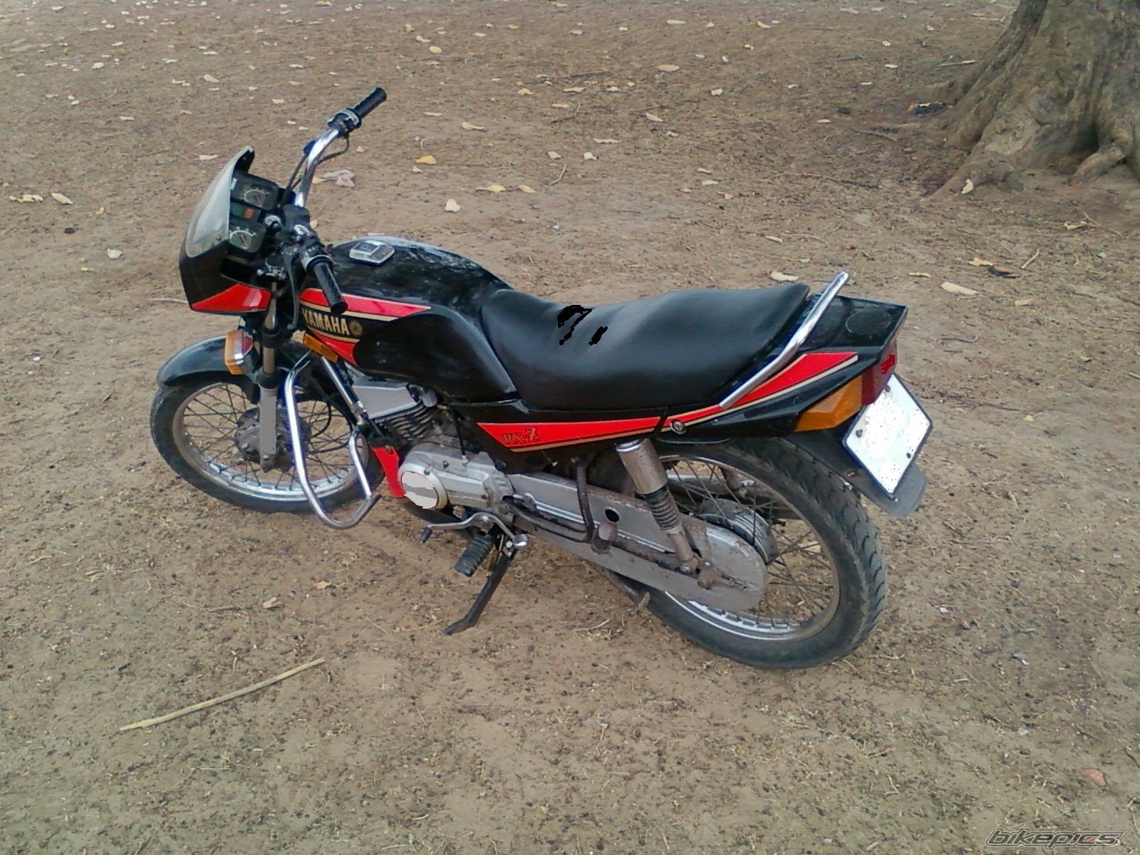 Photo 2230017