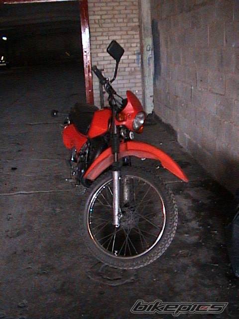 Photo 223007