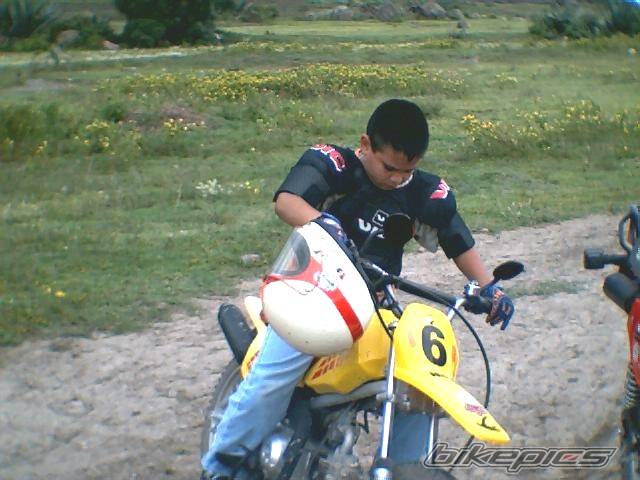 Photo 223027