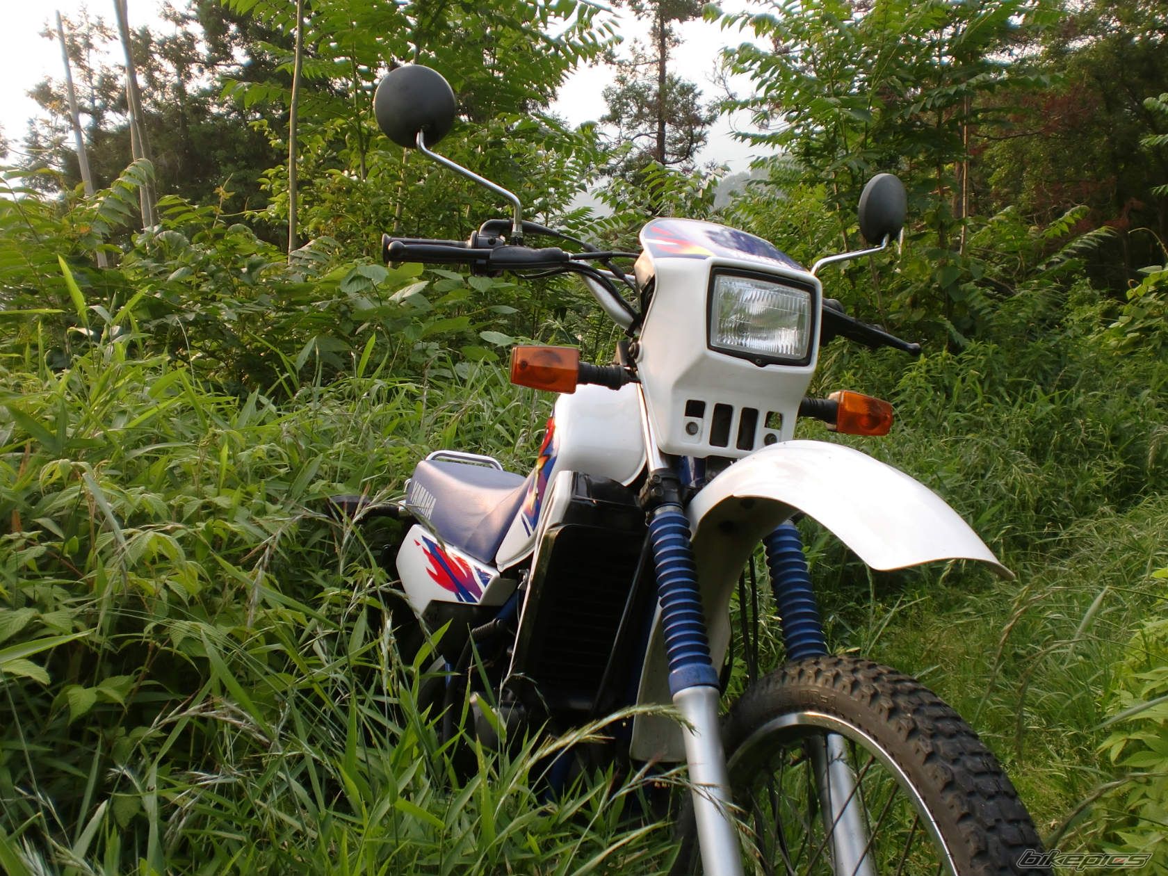 Photo 2230357