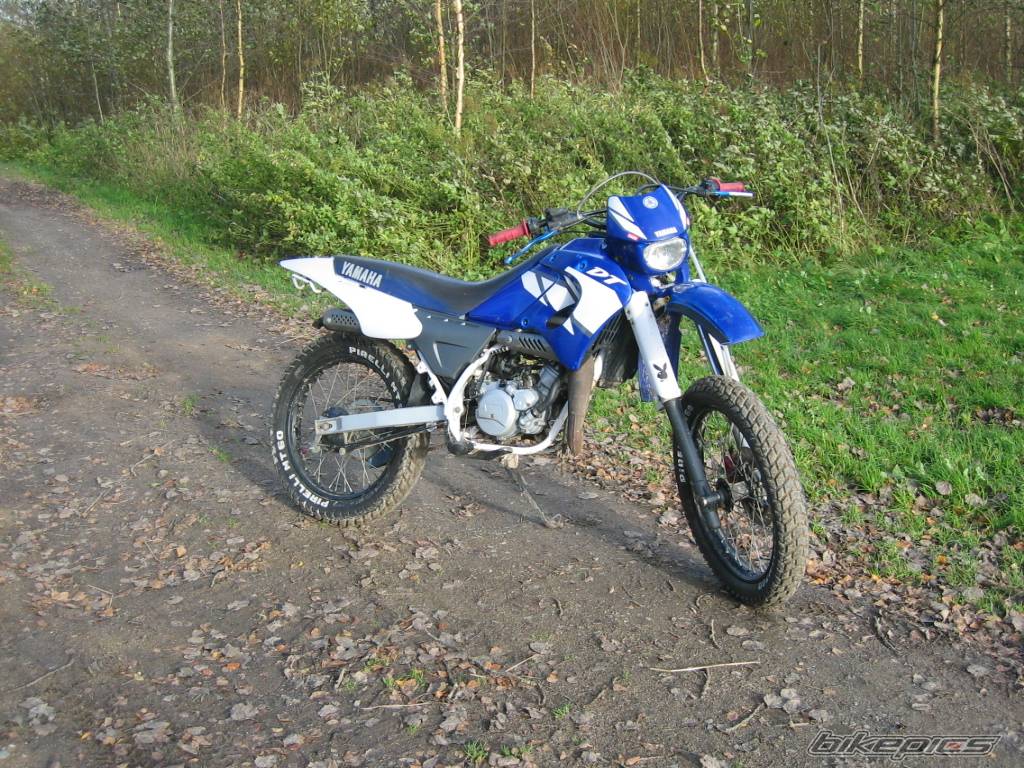 Photo 223042