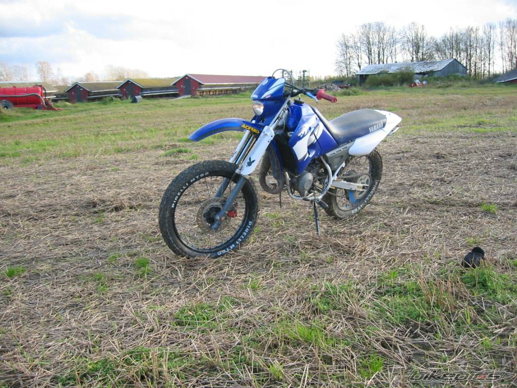Photo 223043