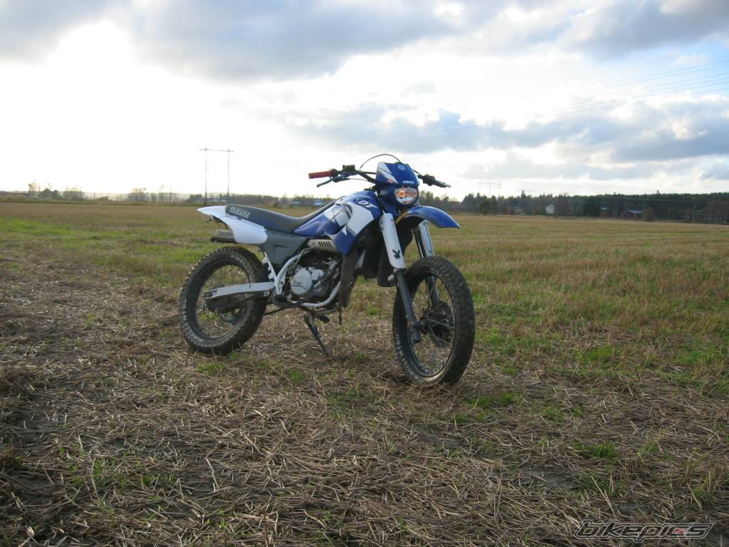 Photo 223044