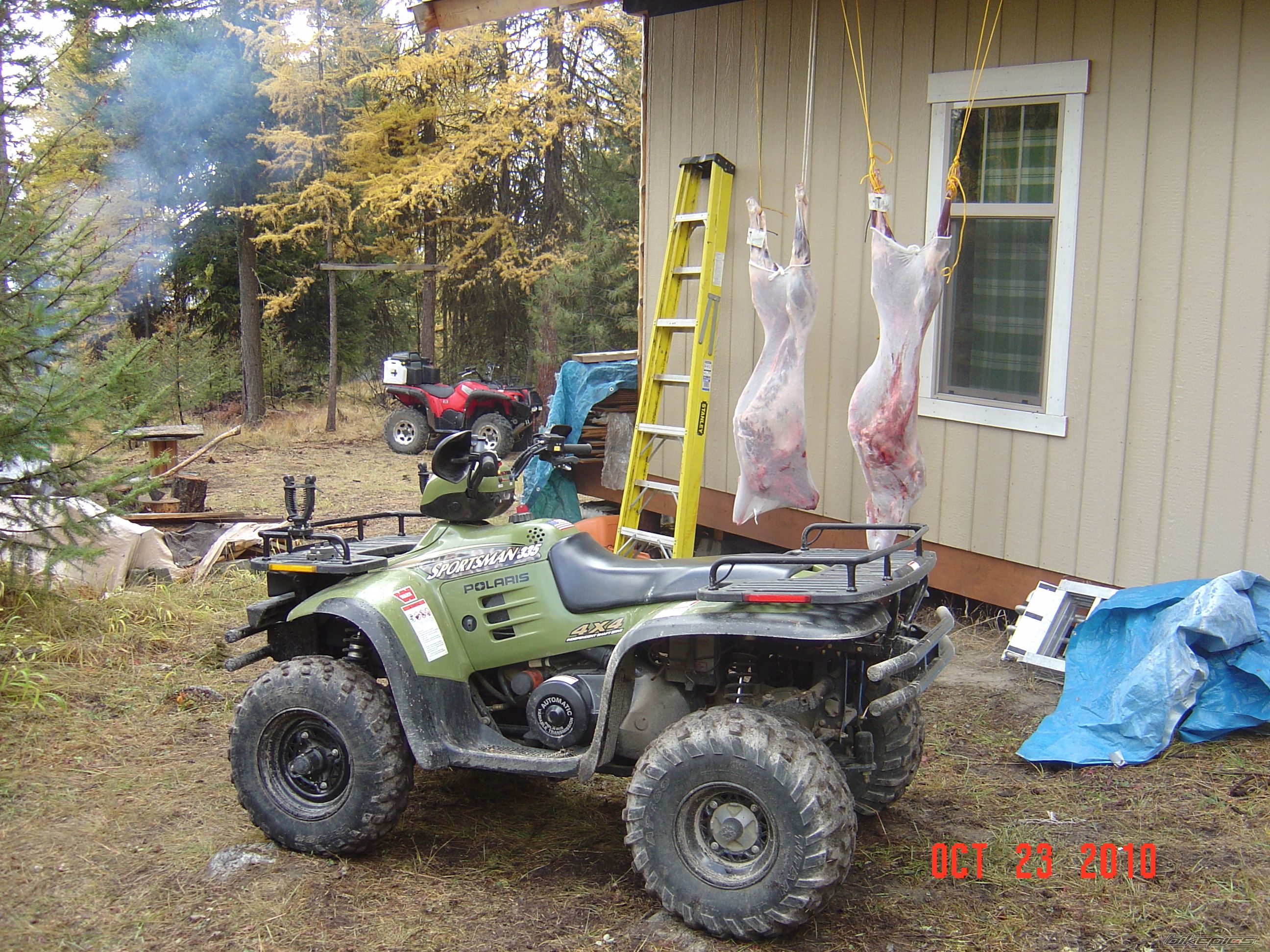 Photo 2230712