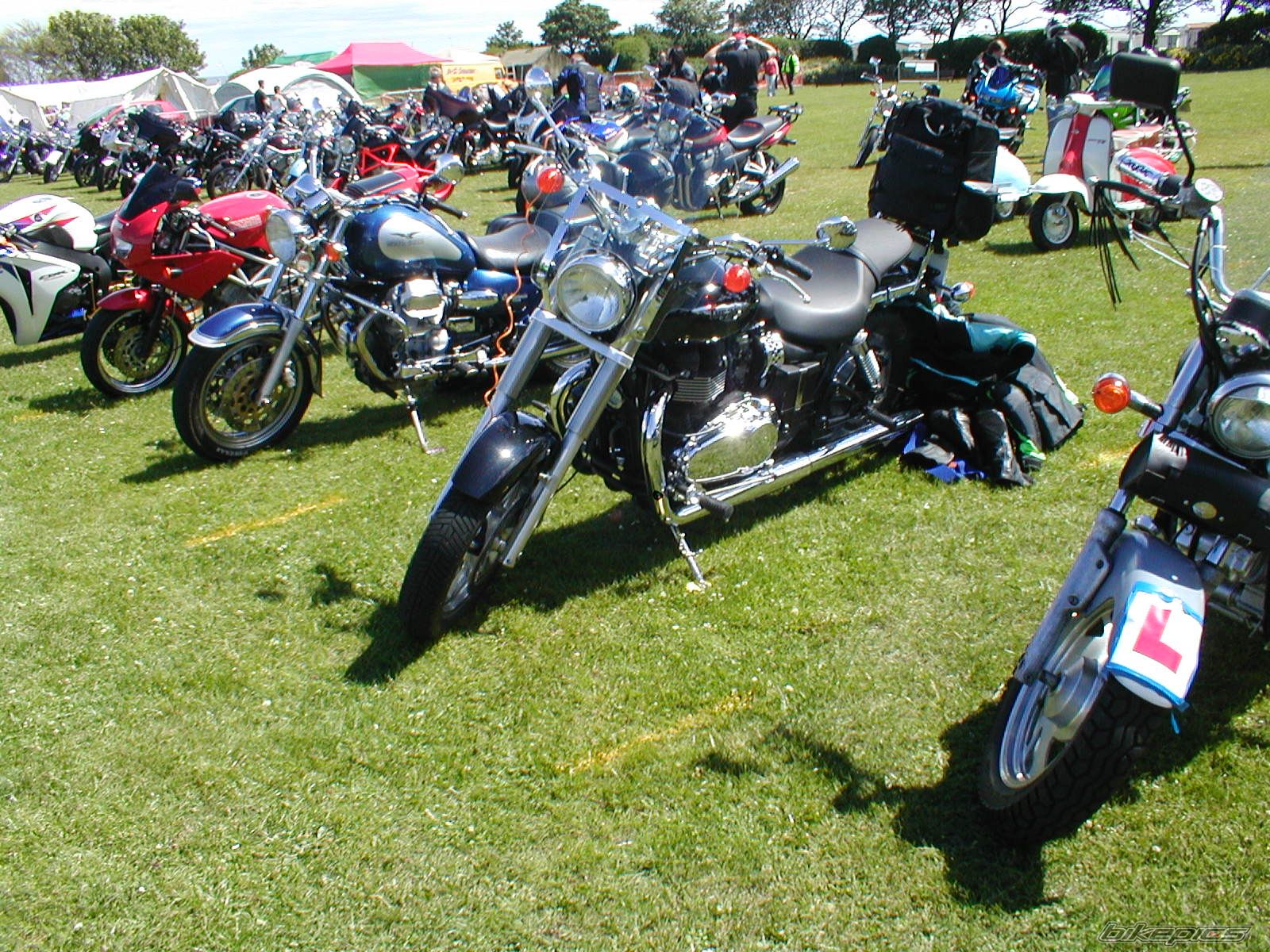 Photo 2230732