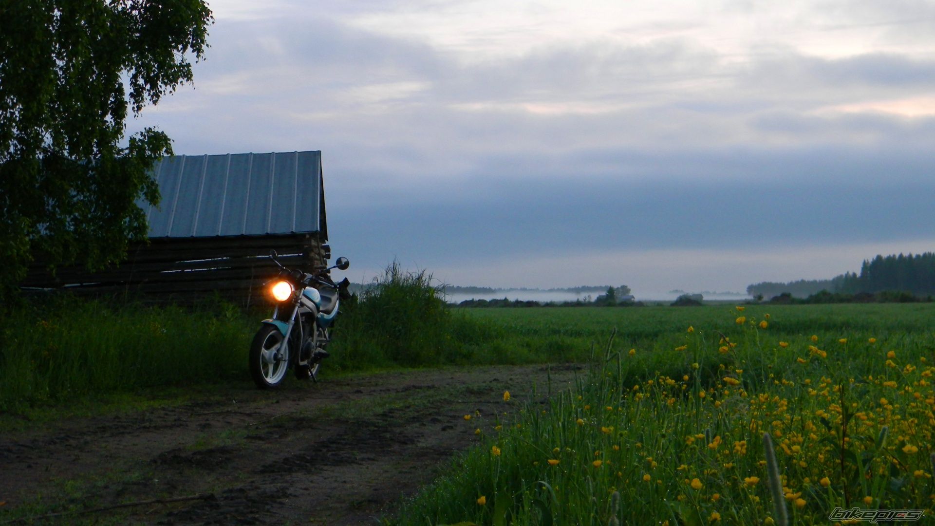 Photo 2230786
