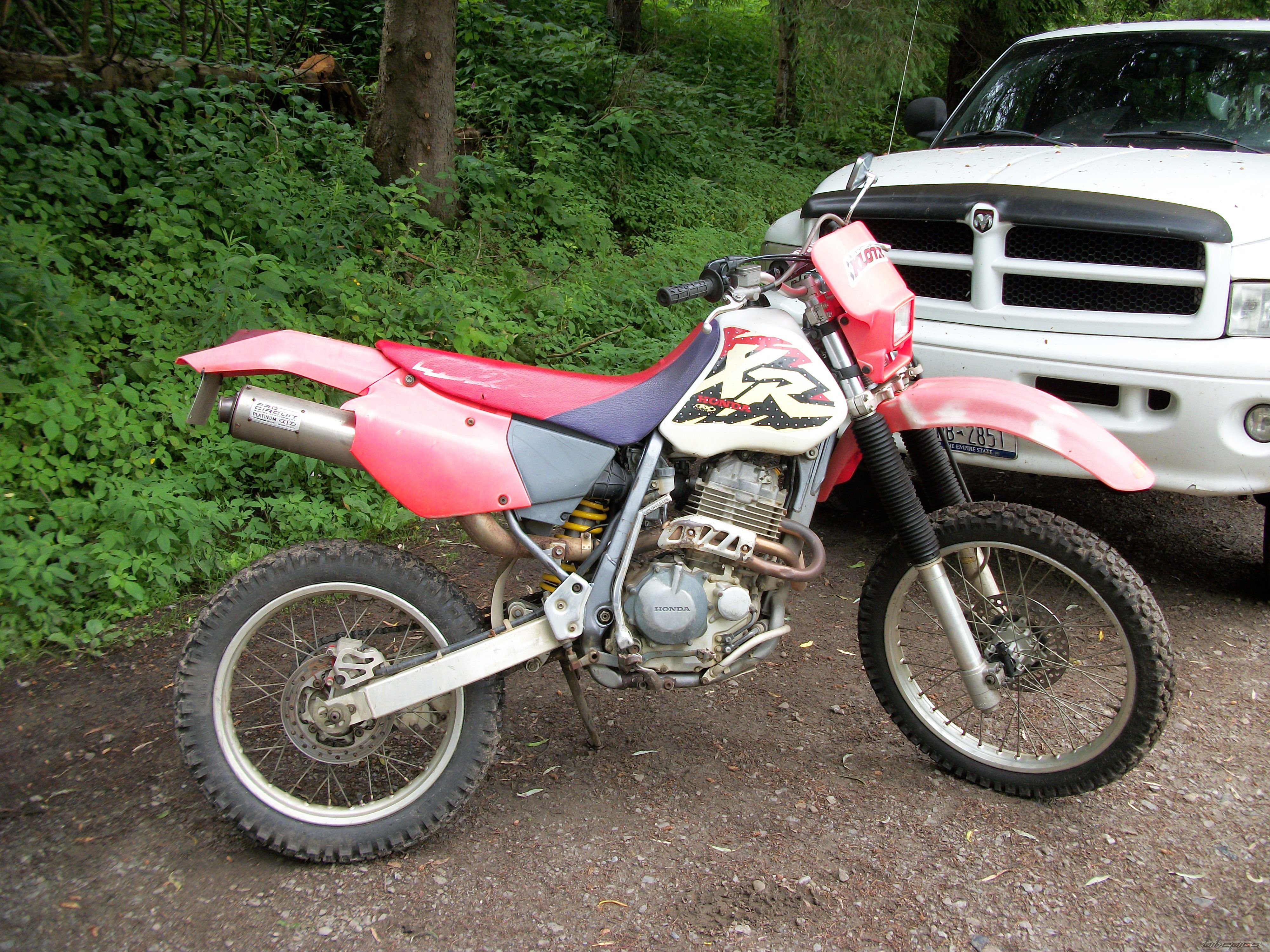 Photo 2230793
