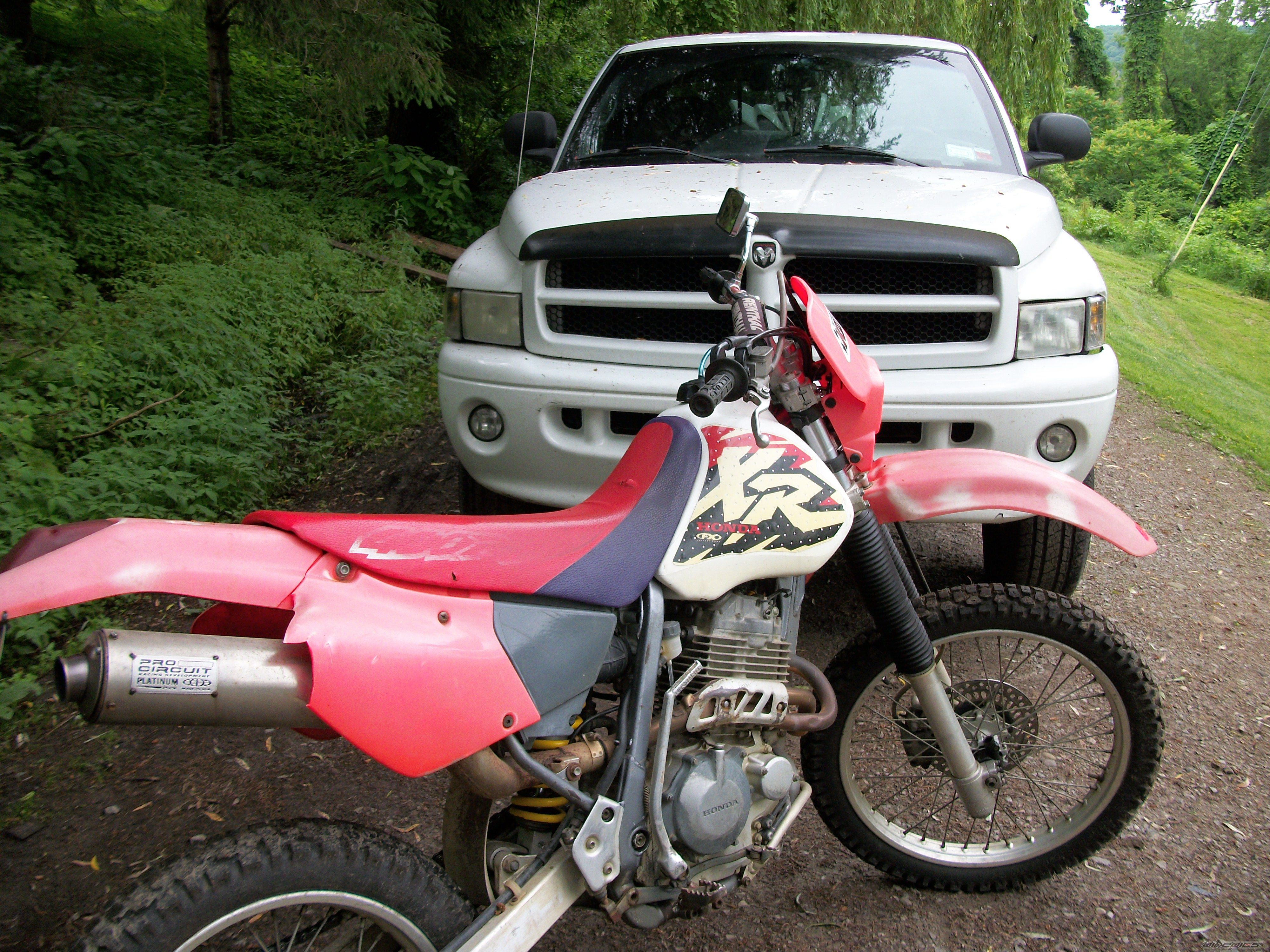 Photo 2230796