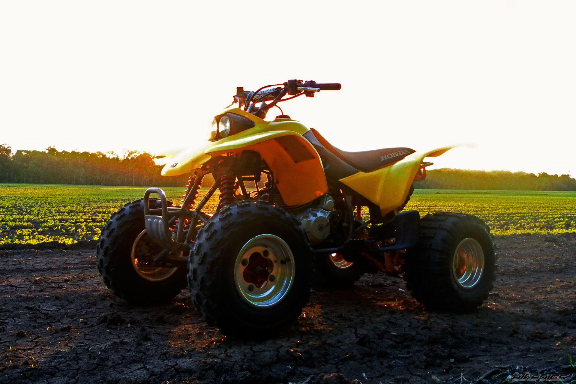 Photo 2231031
