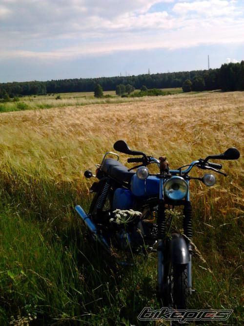 Photo 2231083