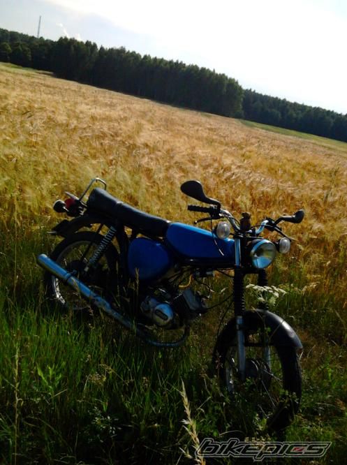 Photo 2231085
