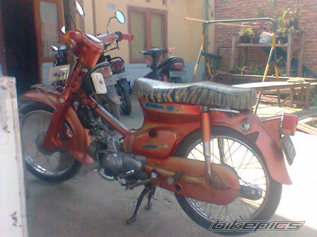 Photo 2231205