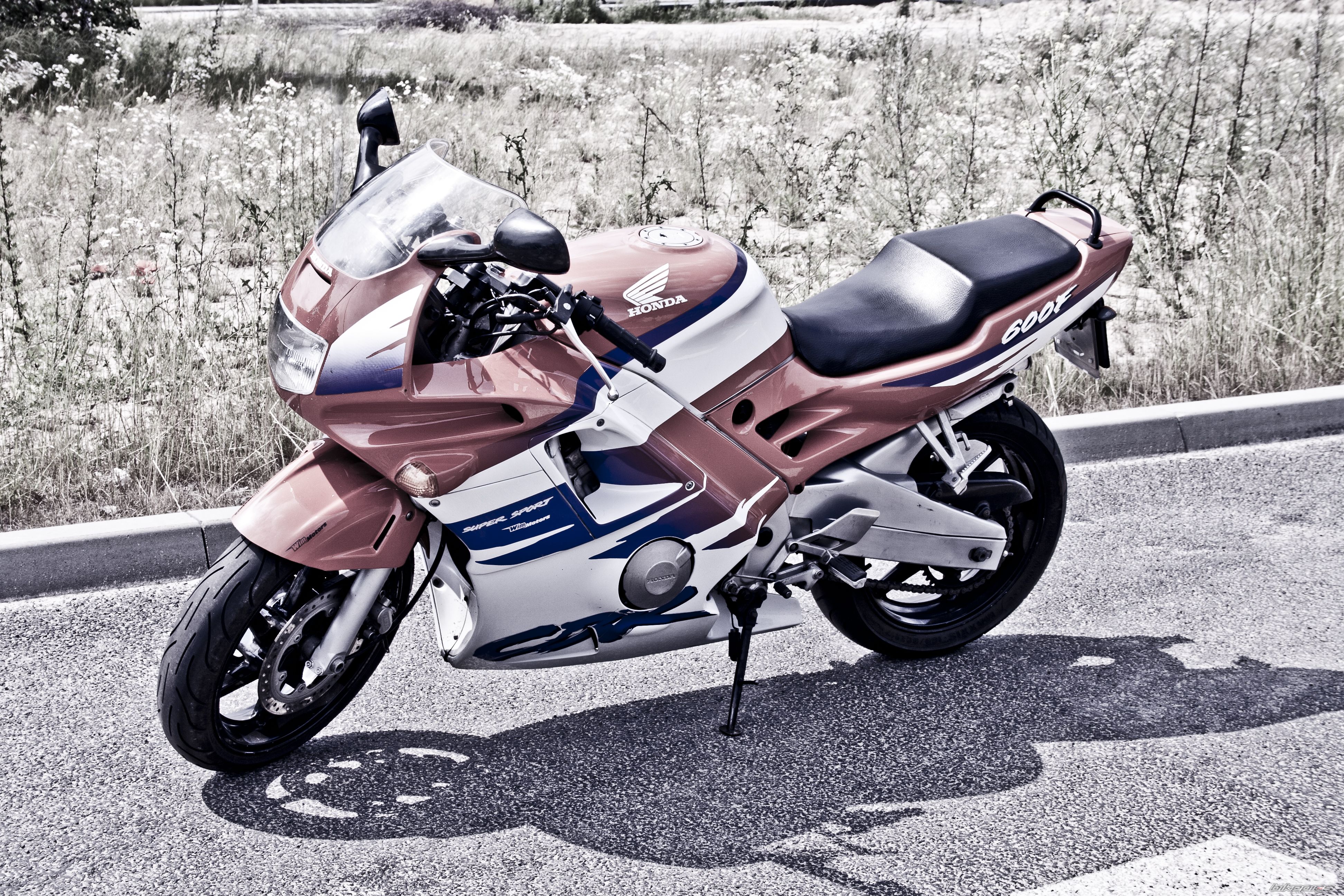 Photo 2231282