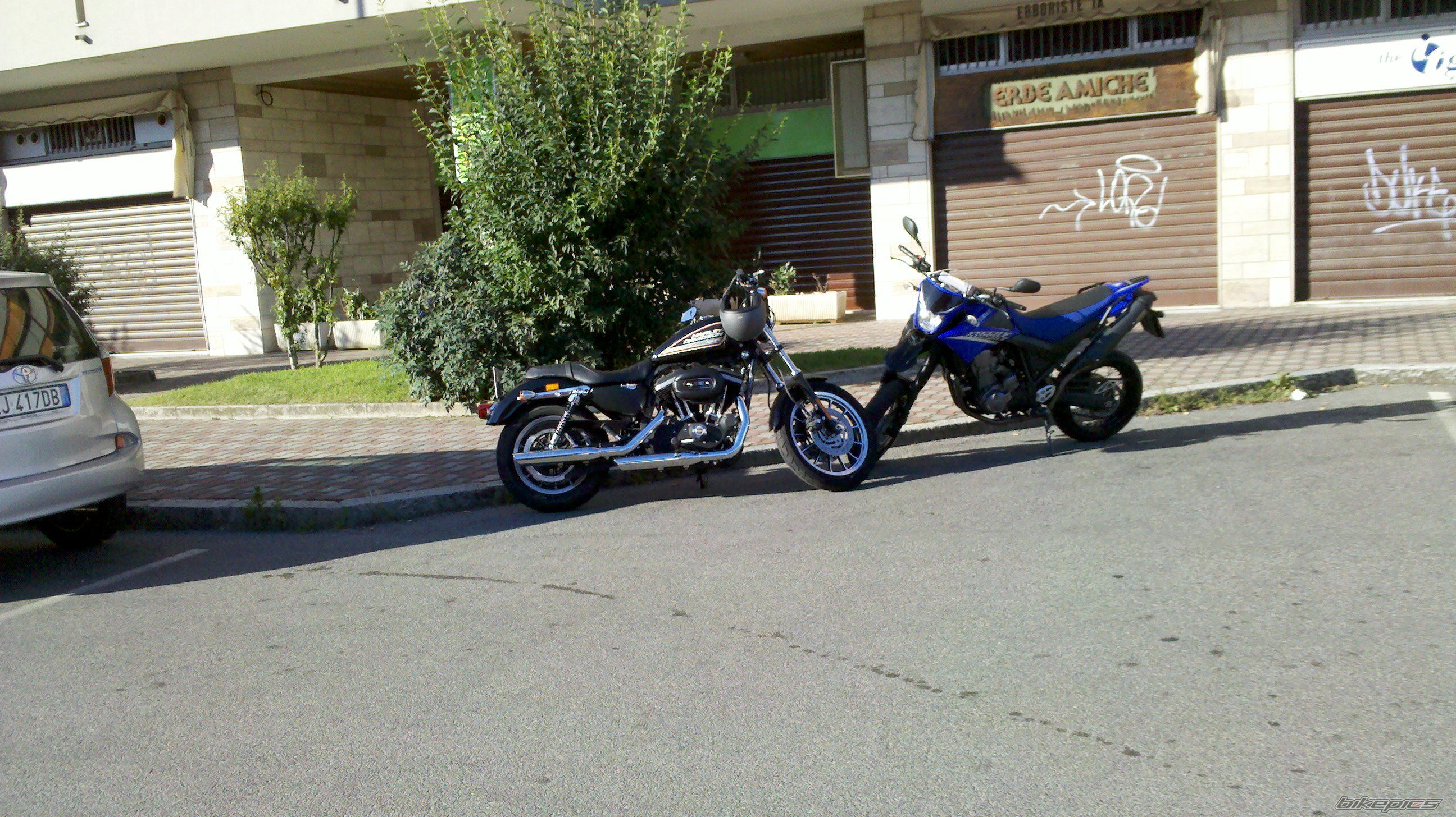 Photo 2231306