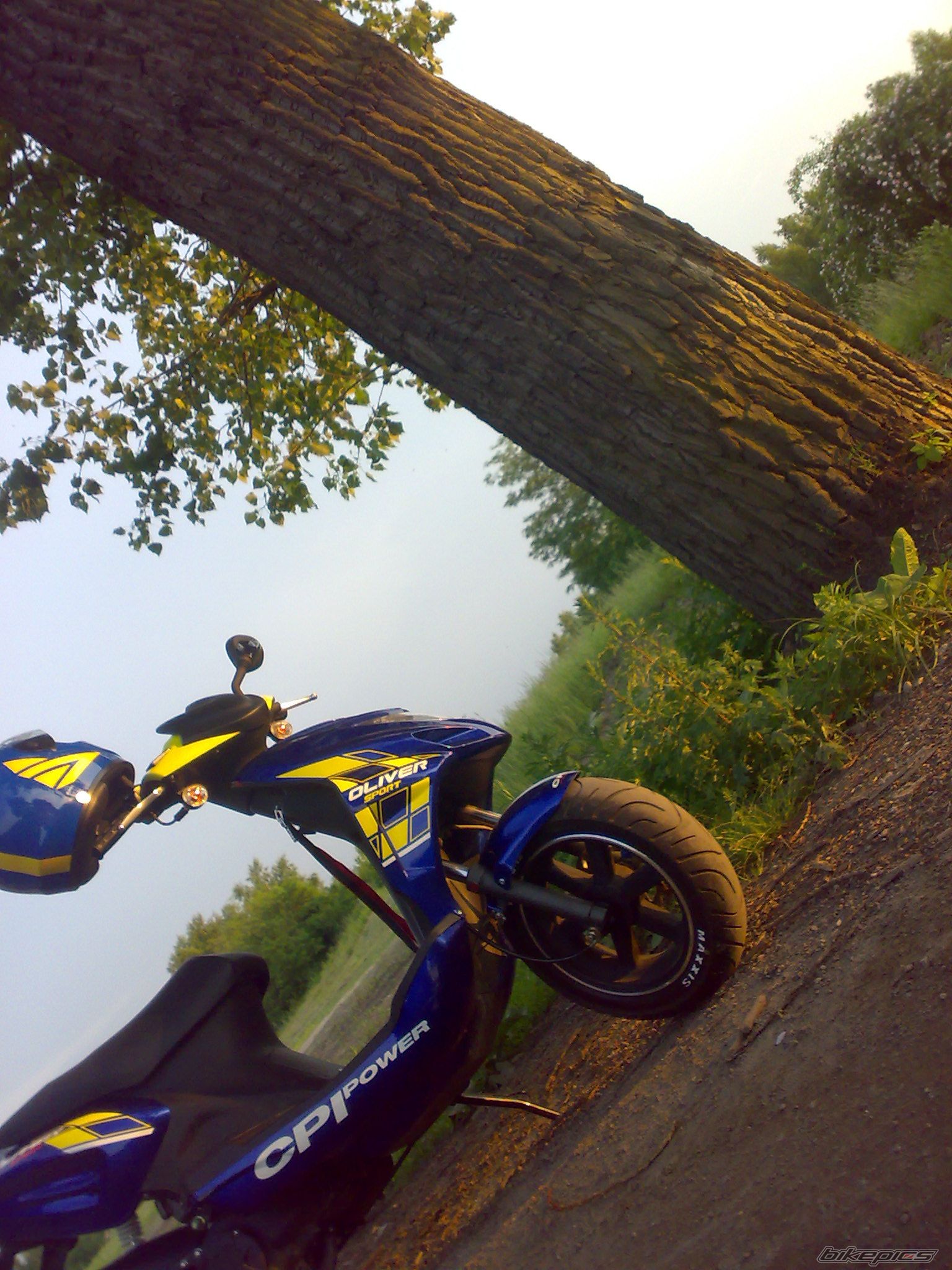 Photo 2231556