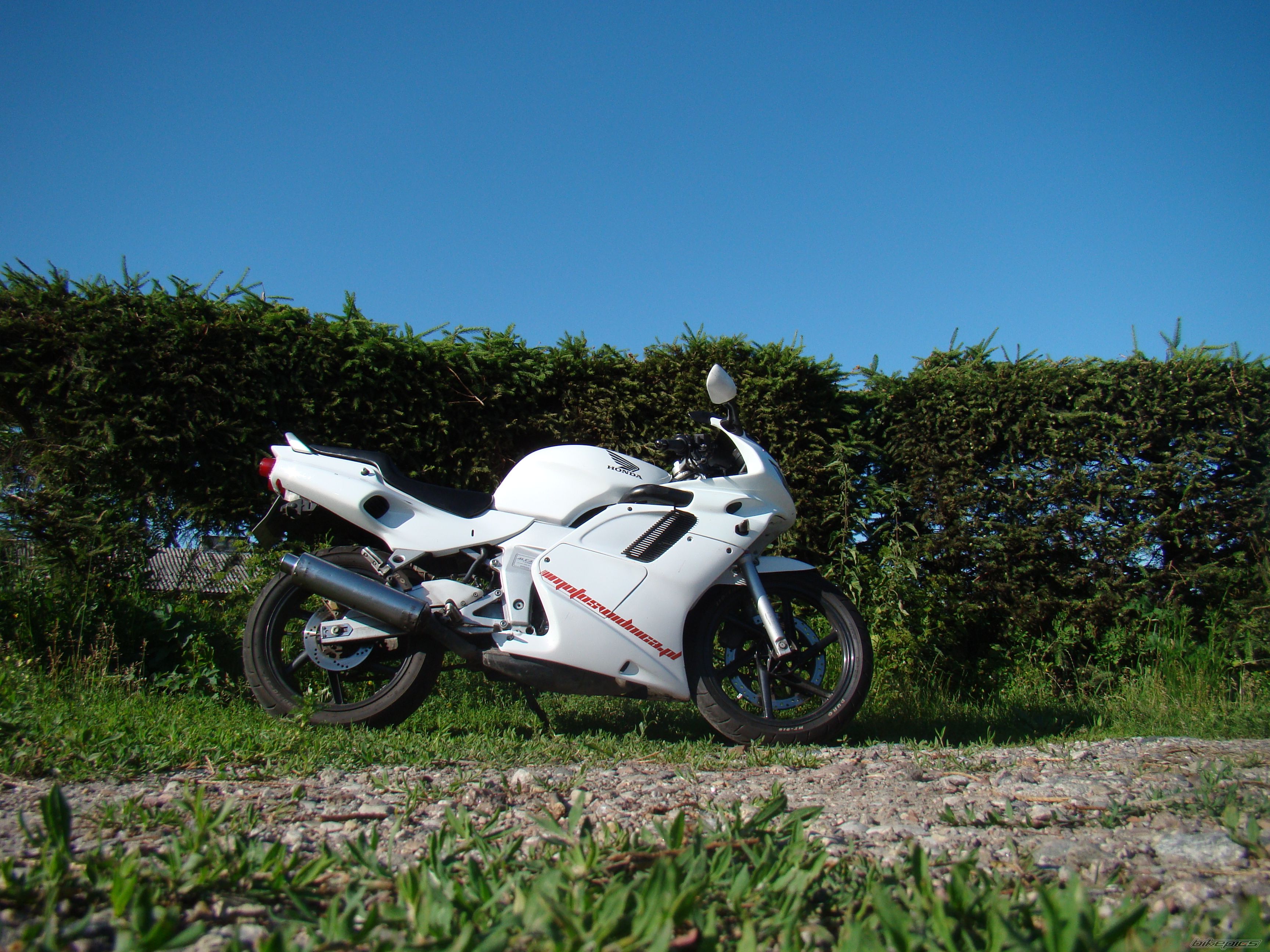 Photo 2231564