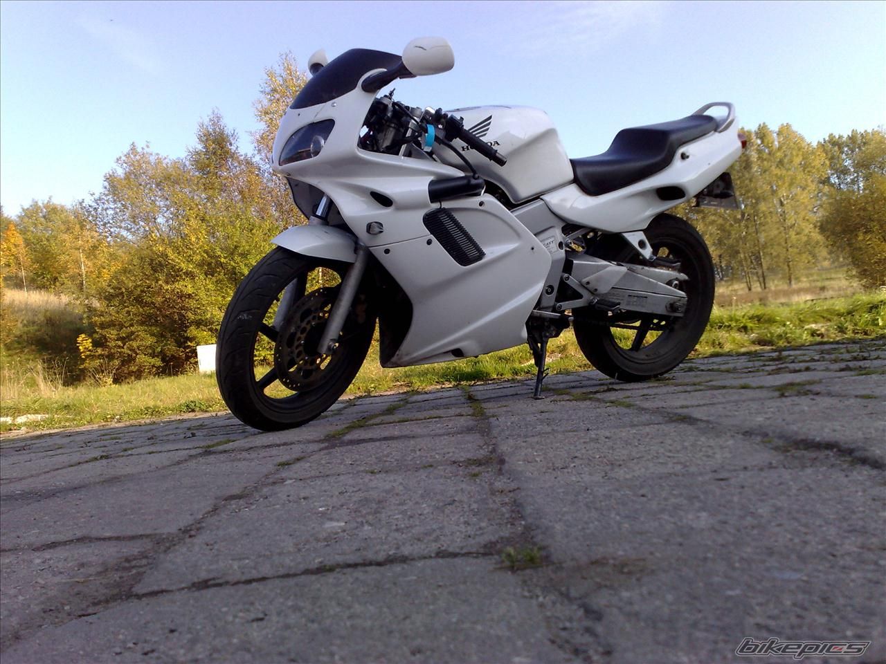 Photo 2231565