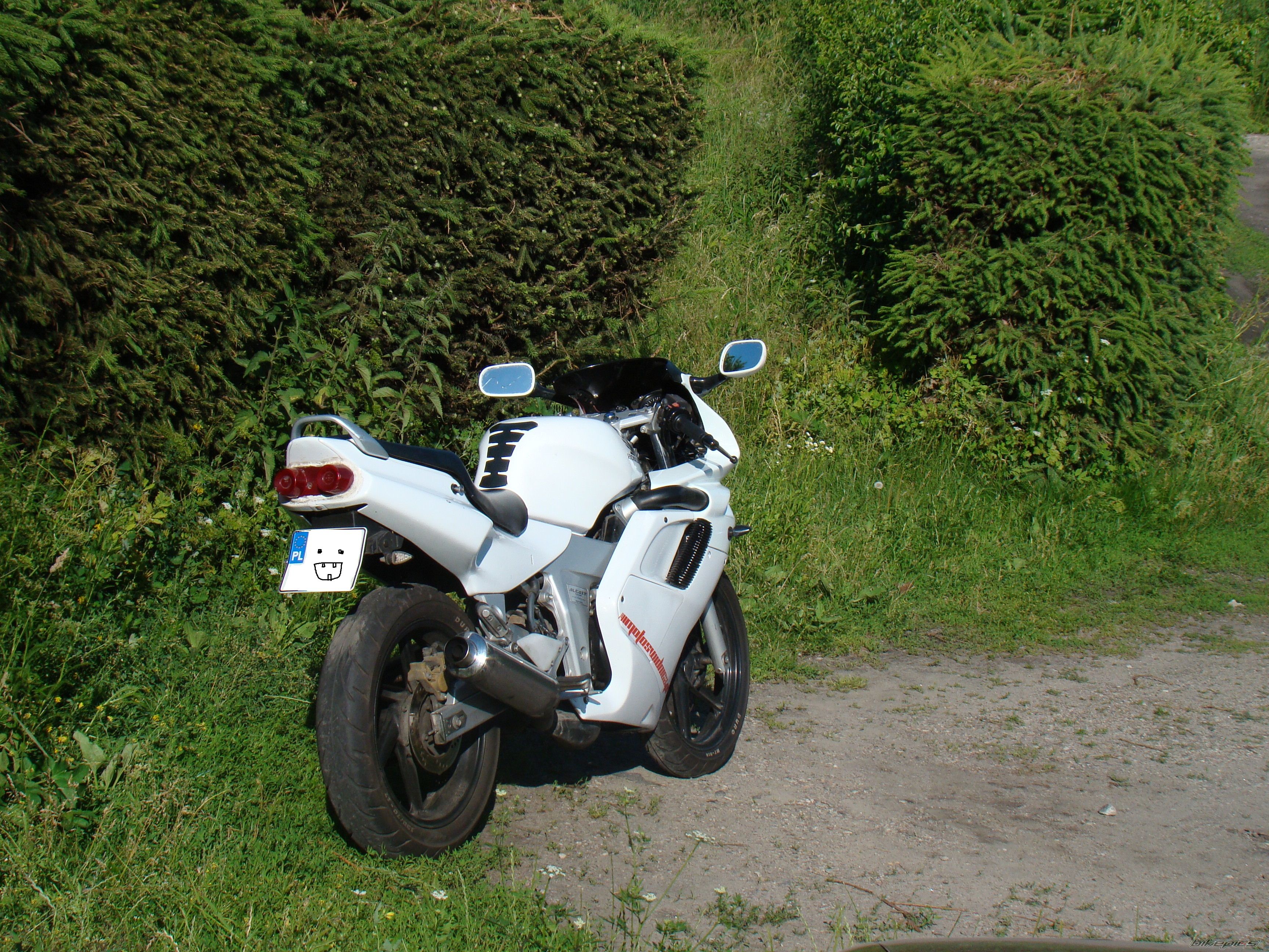 Photo 2231570