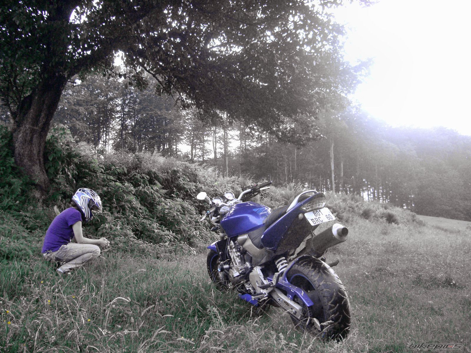 Photo 2231692