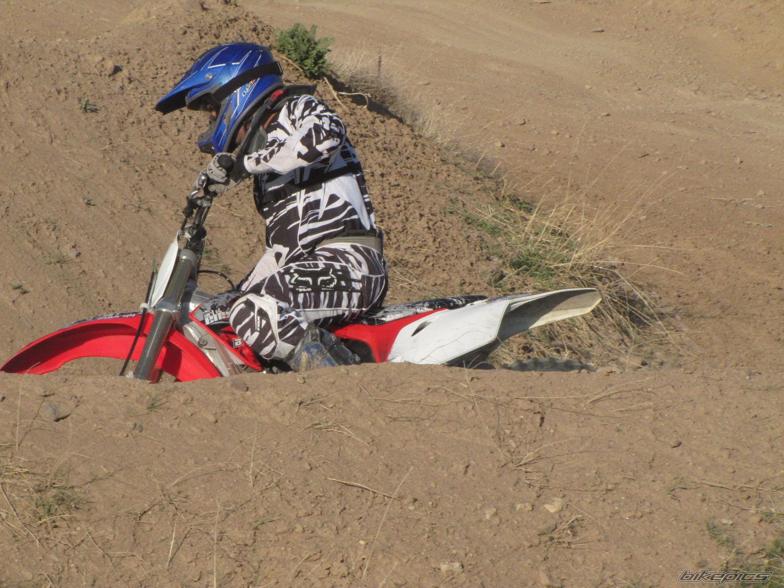 Photo 2231815