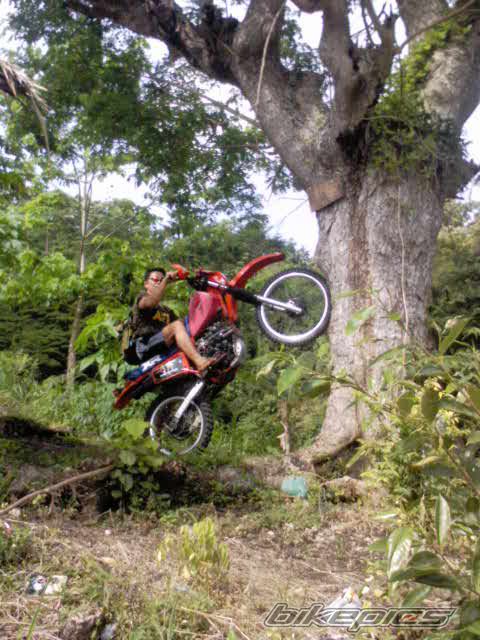 Photo 2231824