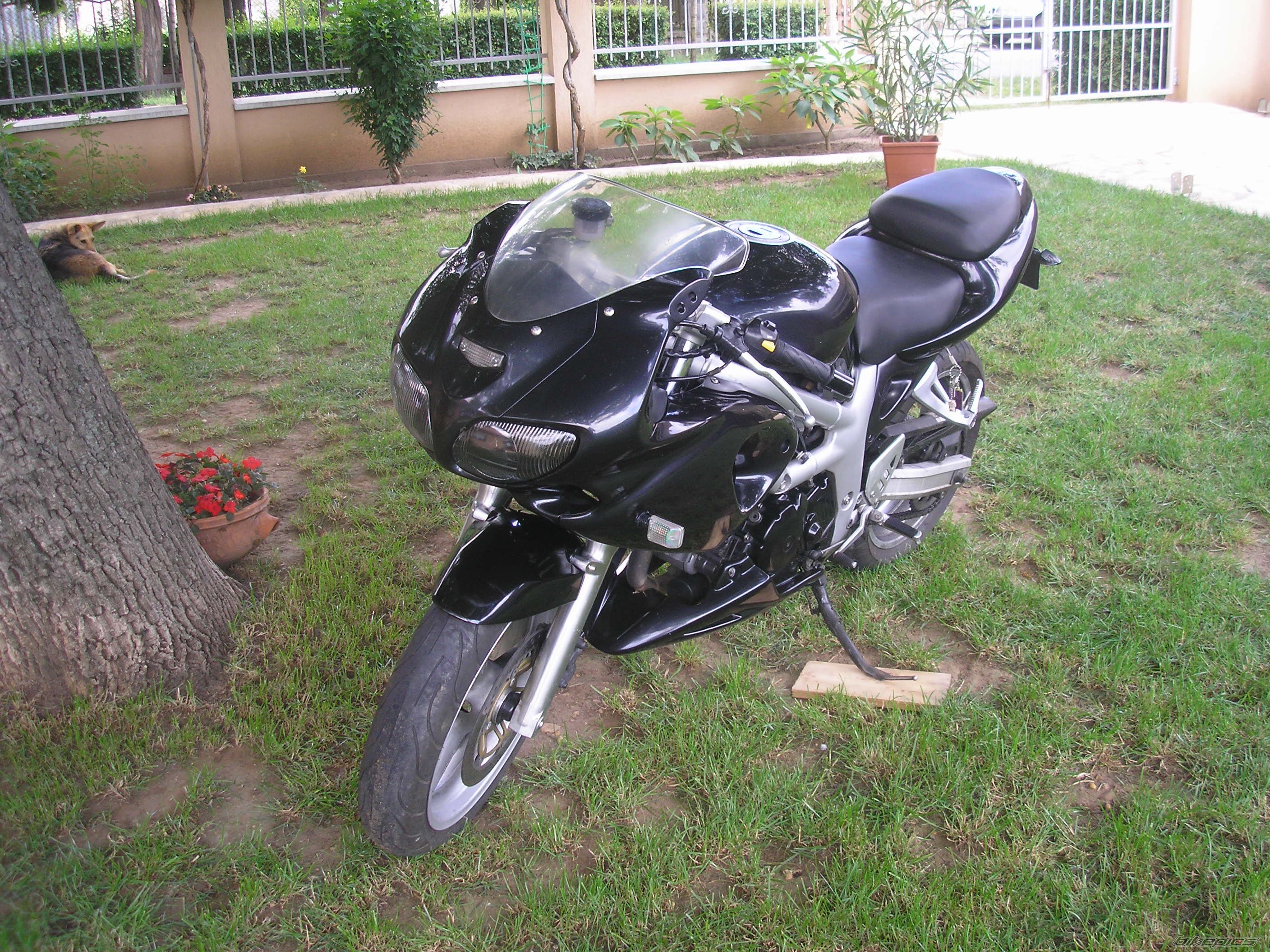 Photo 2231944