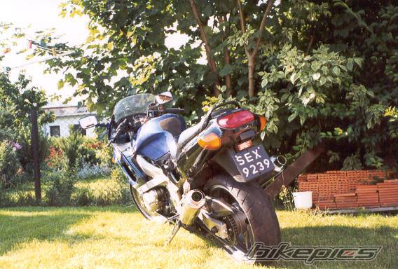 Photo 2232