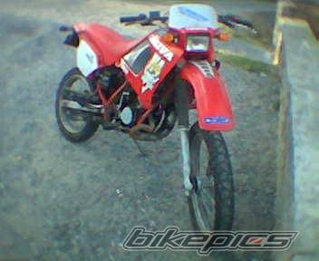 Photo 223216