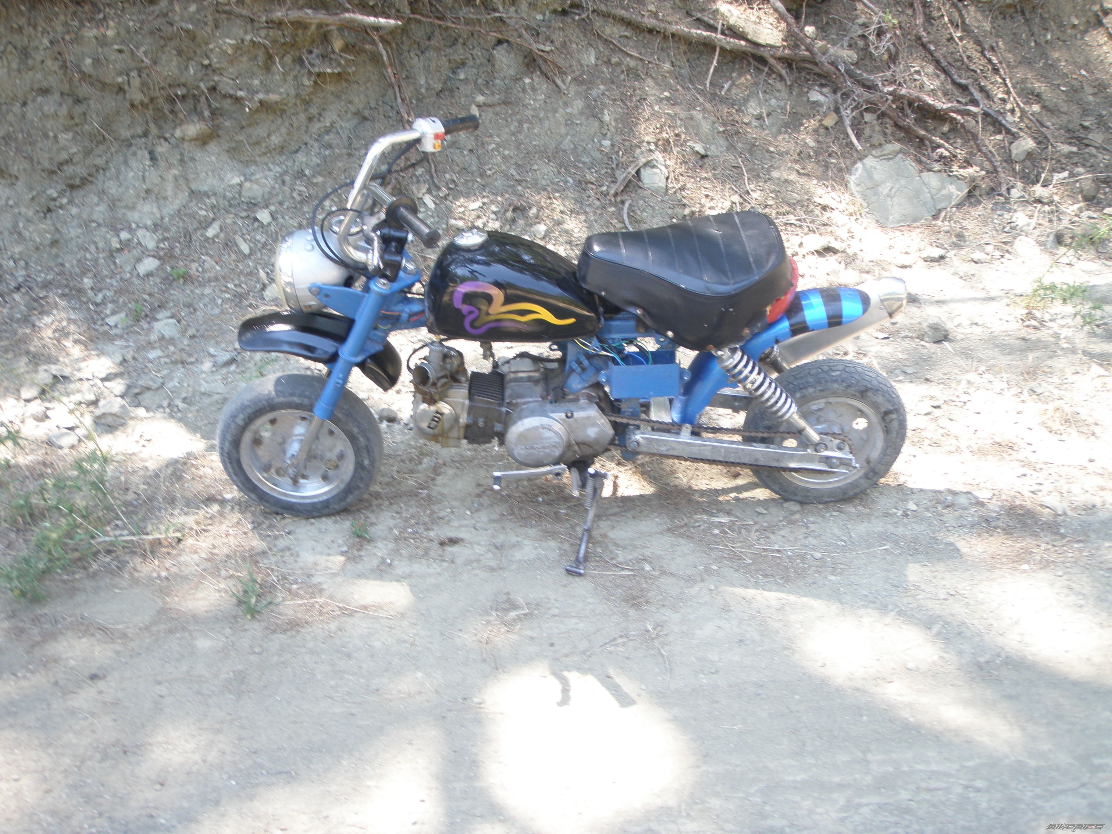 Photo 2232497
