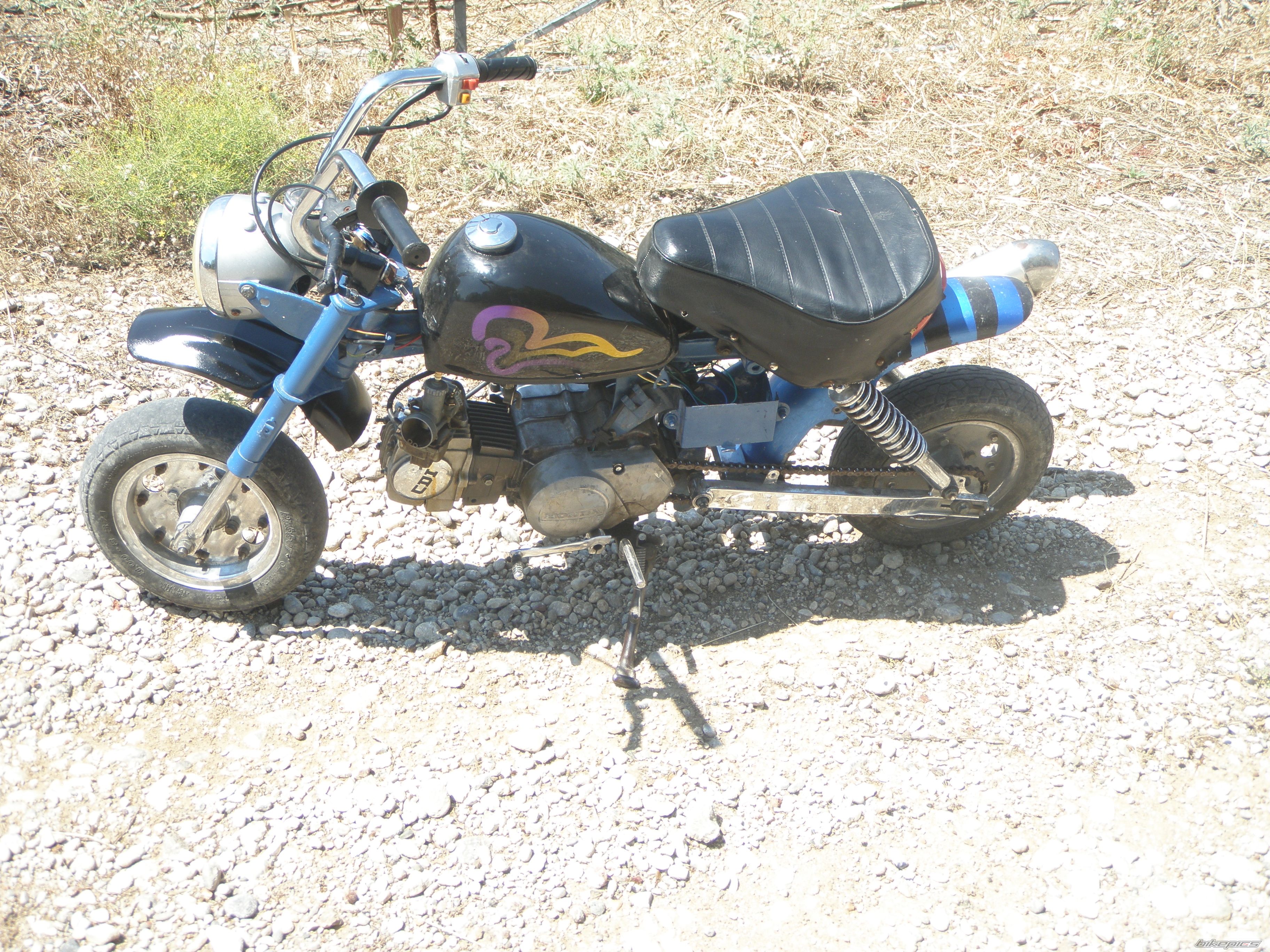 Photo 2232498
