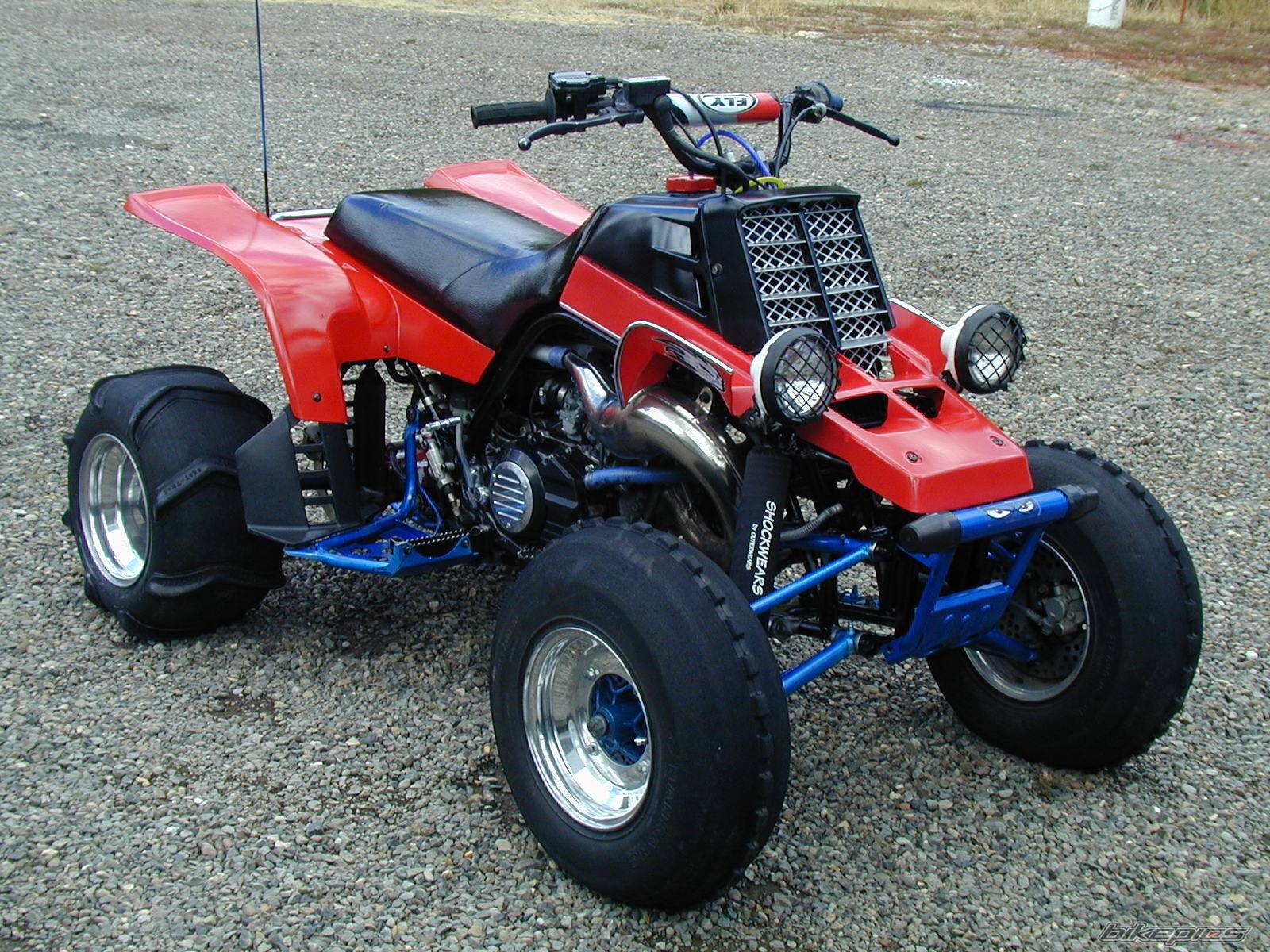 Photo 223253