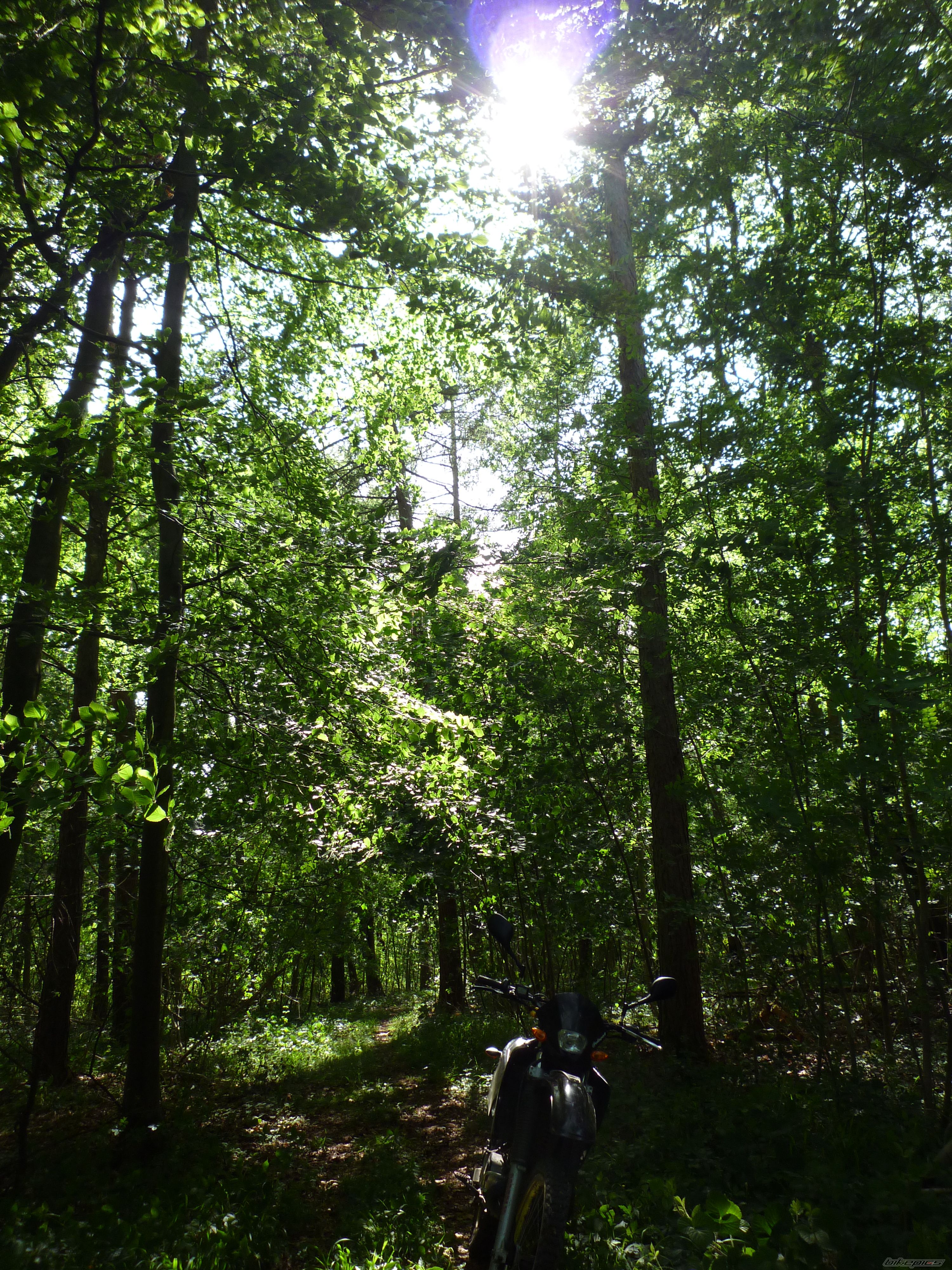 Photo 2232552