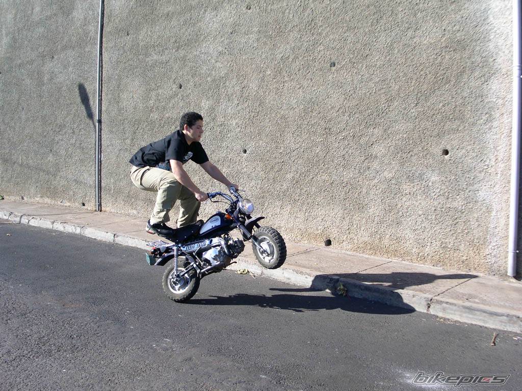 Photo 223258