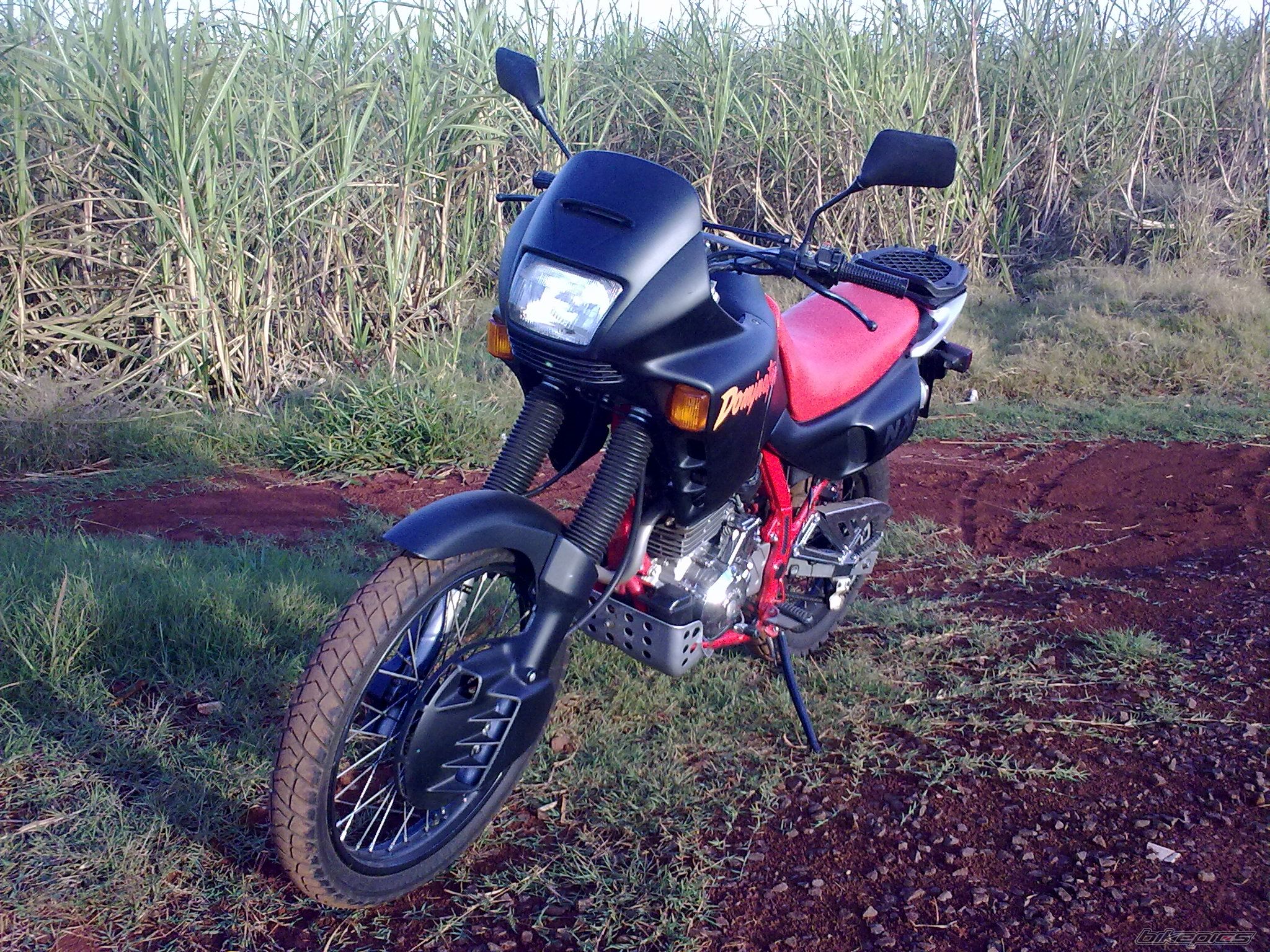 Photo 2232589