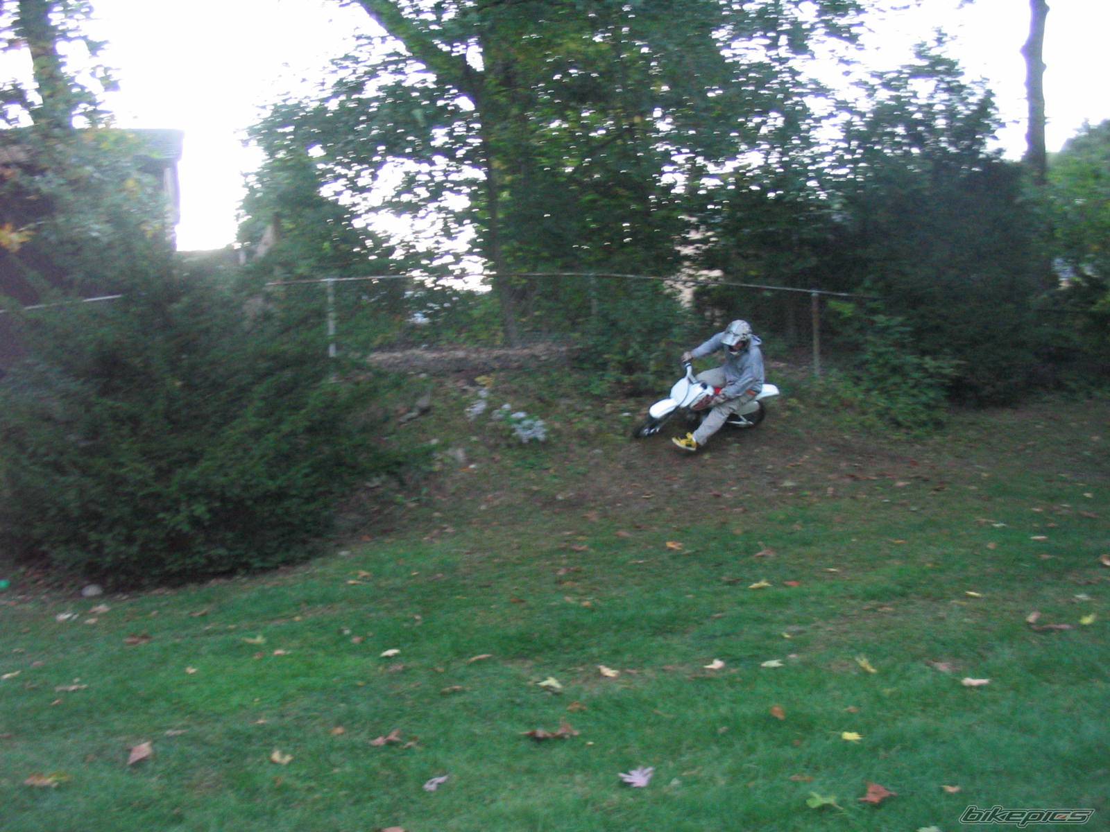Photo 223263