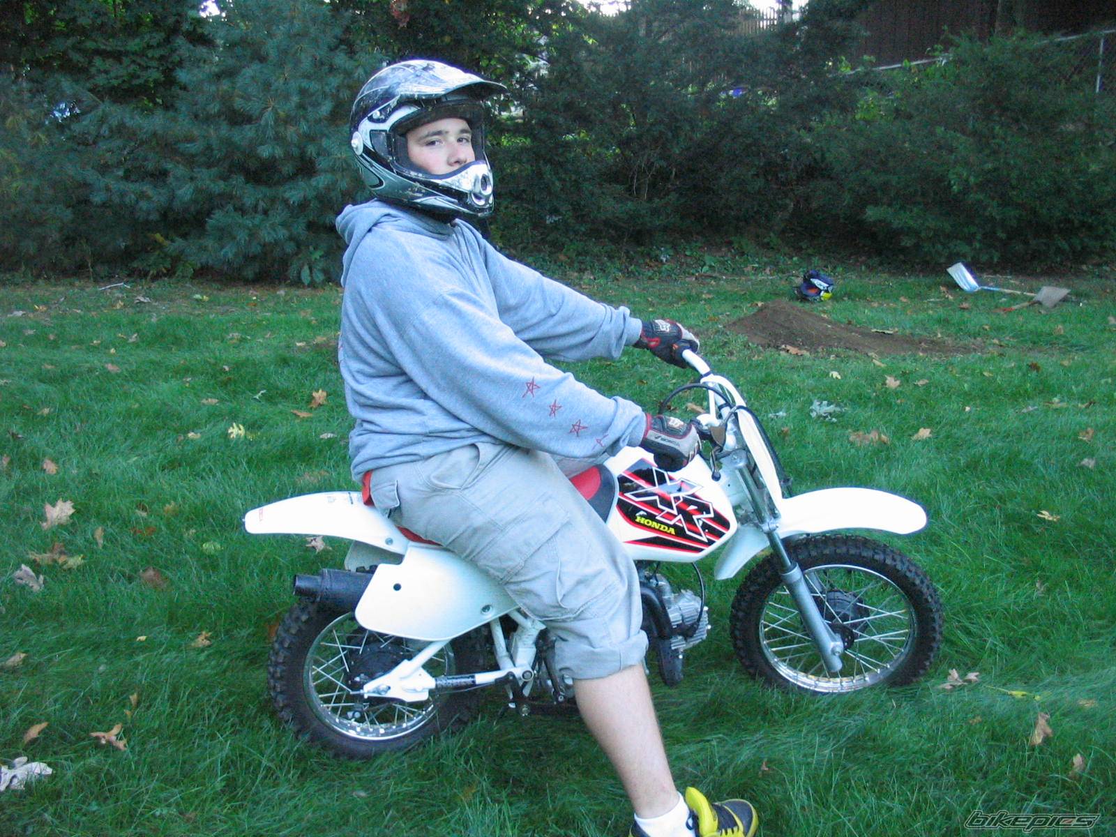 Photo 223264