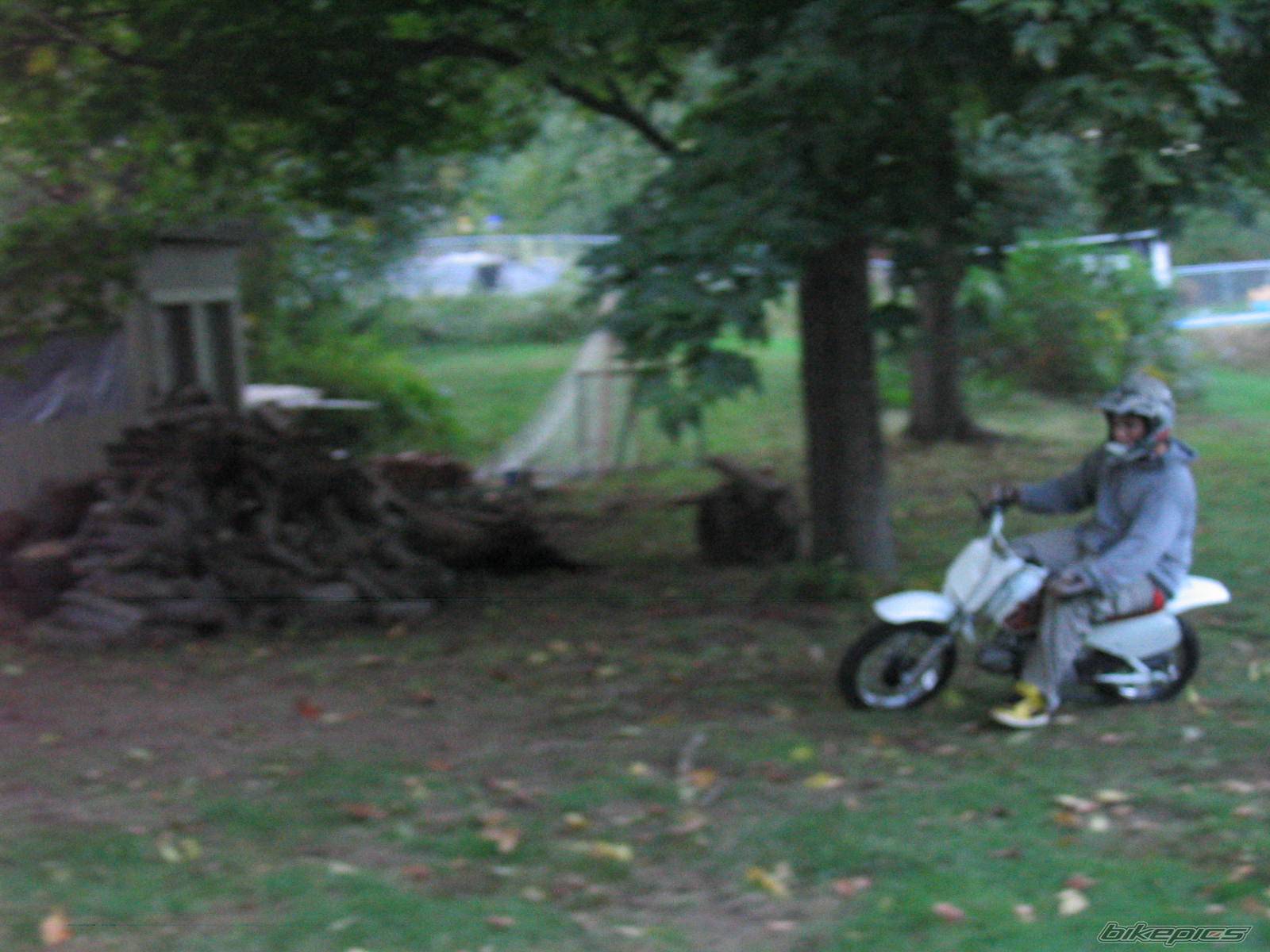 Photo 223265