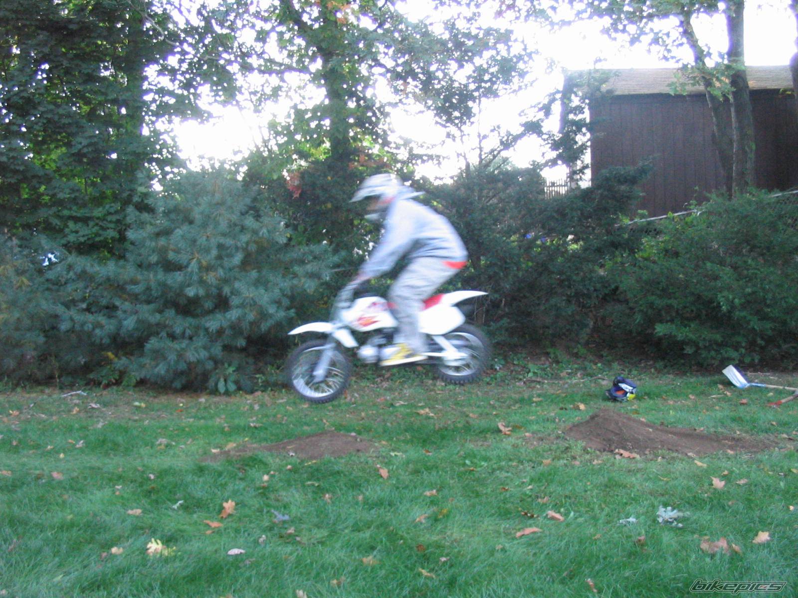 Photo 223266
