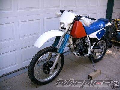 Photo 223269