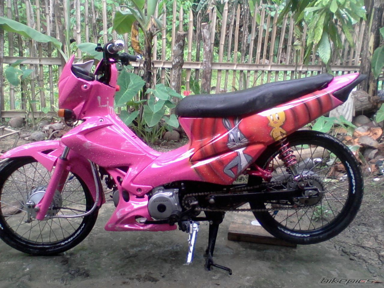 Photo 2232844