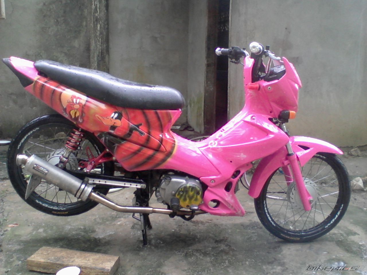 Photo 2232848