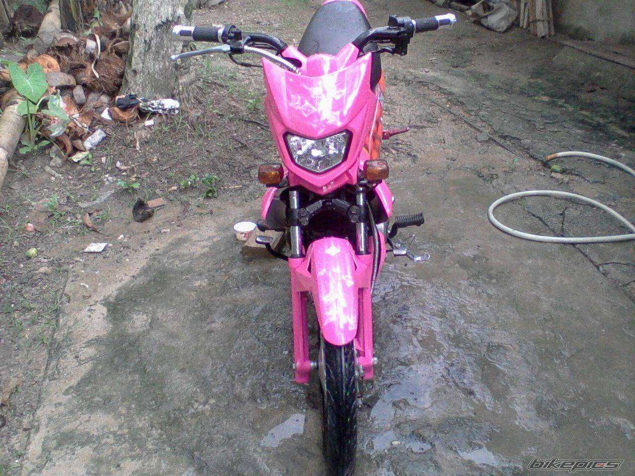 Photo 2232851