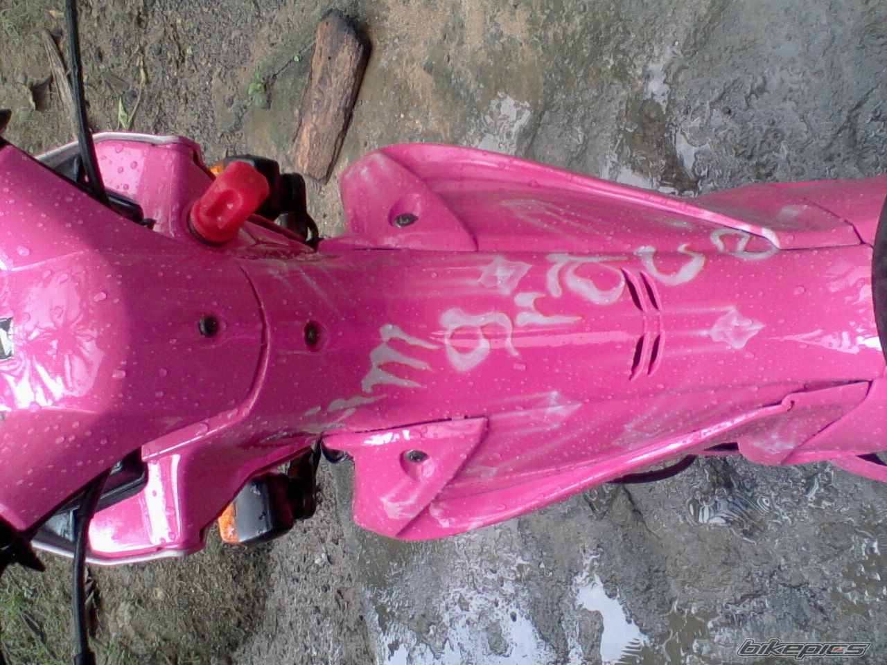 Photo 2232852