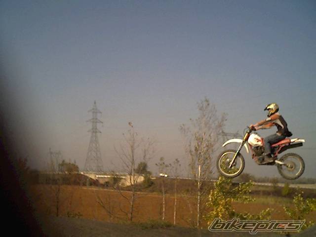 Photo 223302