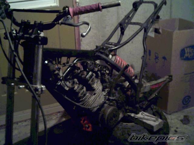 Photo 223306