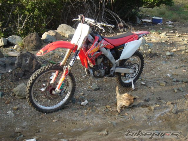 Photo 2233066