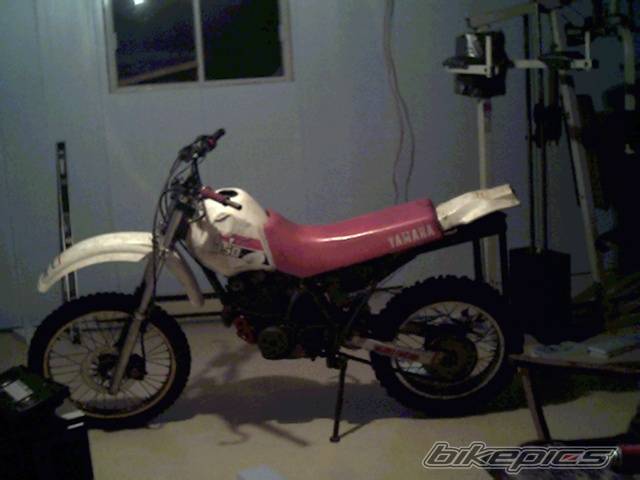 Photo 223307