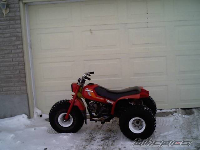 Bike Photo 223310